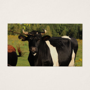 Take the Bull by the Horns