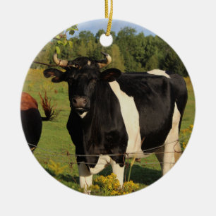 Take the Bull by the Horns Ceramic Ornament
