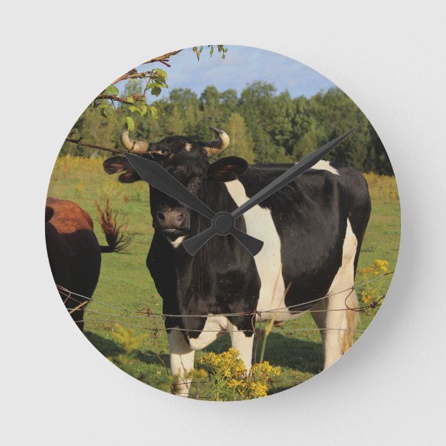Take the Bull by the Horns Round Clock (Front)