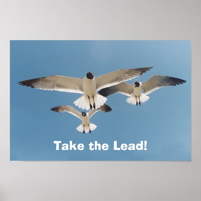 Take the Lead! Poster (Front)