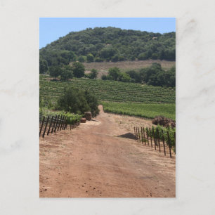 Take the Road less Travelled Postcard