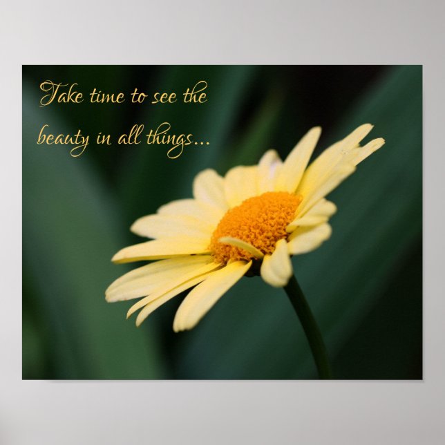 Take Time To Appreciate Daisy Inspirational Quote Poster (Front)