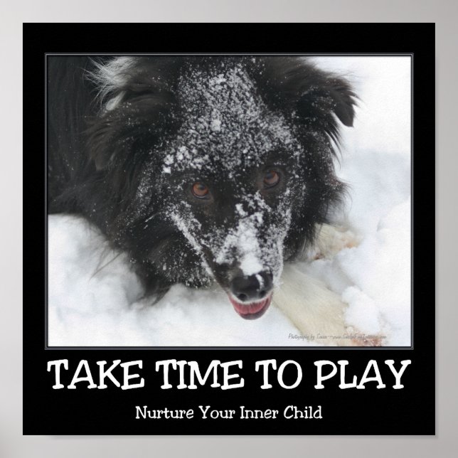 Take Time To Play Border Collie Inspirational Poster (Front)