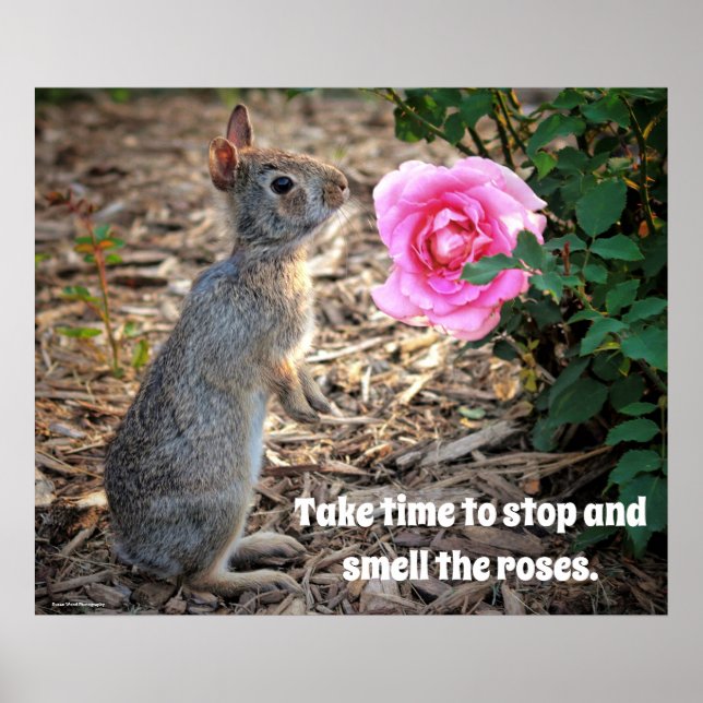Take Time To Smell the Roses Poster (Front)