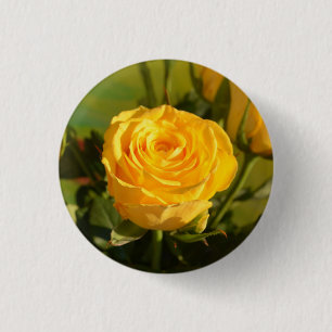Take time to smell the yellow rose 3 cm round badge