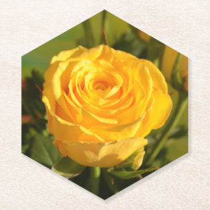 Take time to smell the yellow rose  paper coaster