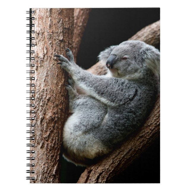 TAKE YOUR TIME NOTEBOOK (Front)
