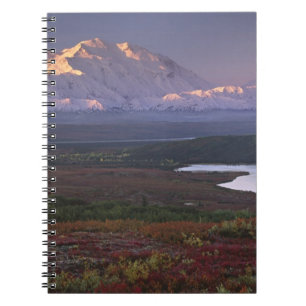Taken in early September in Denali National Park Notebook