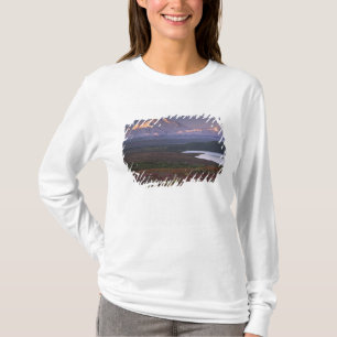 Taken in early September in Denali National Park T-Shirt