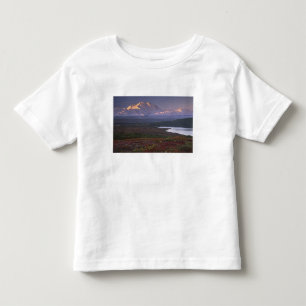 Taken in early September in Denali National Park Toddler T-Shirt