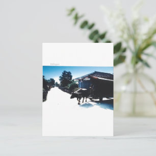 Taketomi Island in Japan Postcard