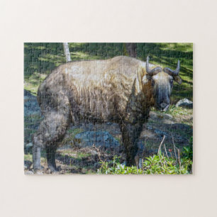 Takin, national animal of Bhutan - Himalaya, Asia Jigsaw Puzzle