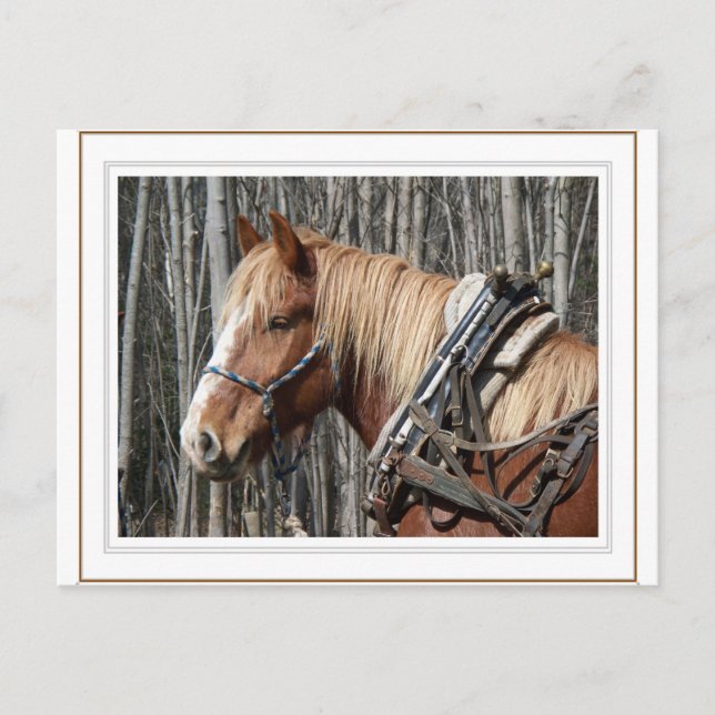 Taking a Break Postcard (Front)