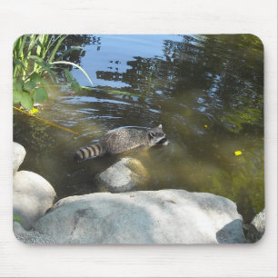 Taking a Dip Racoon Mouse Pad