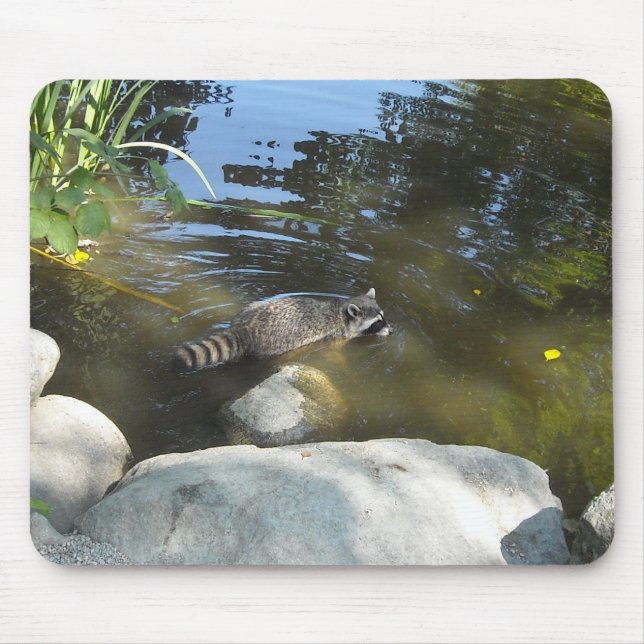Taking a Dip Racoon Mouse Pad (Front)