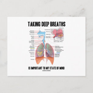 Taking Deep Breaths Is Important To My State Mind Postcard