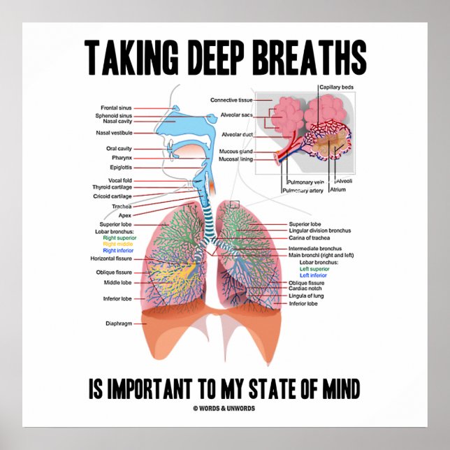 Taking Deep Breaths Is Important To My State Mind Poster (Front)