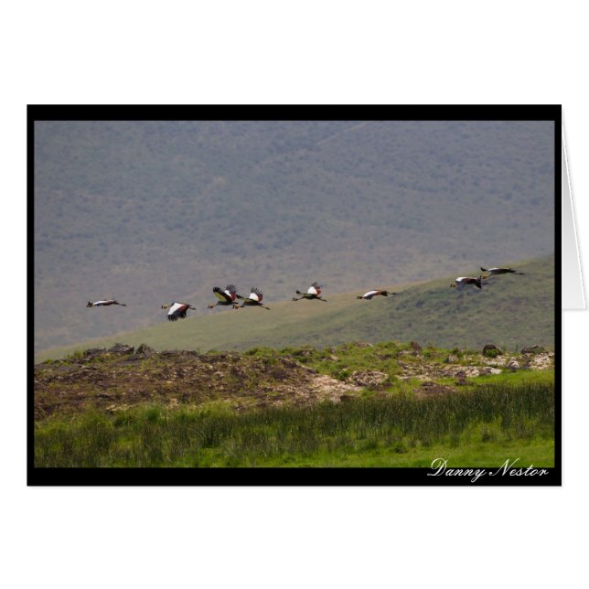 Taking Flight (Front Horizontal)