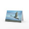 Taking flight blank greeting card