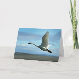 Taking flight blank greeting card