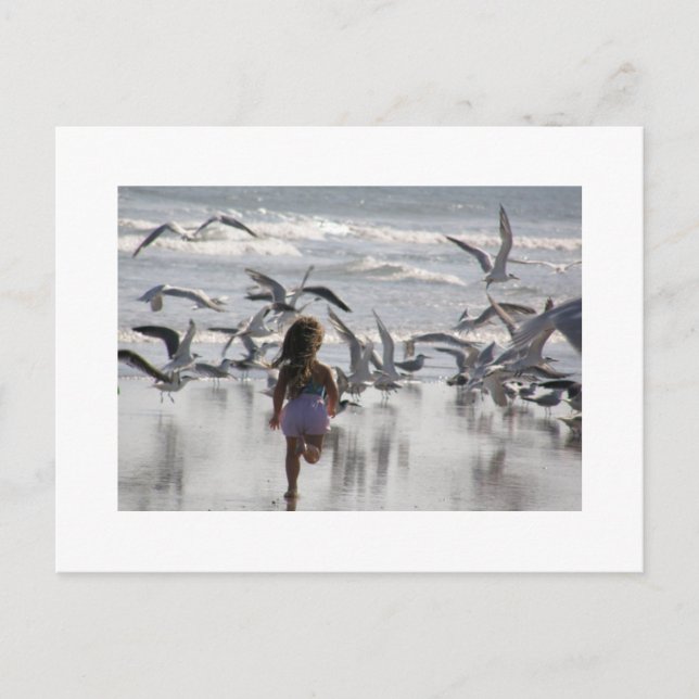 Taking Flight Postcard (Front)