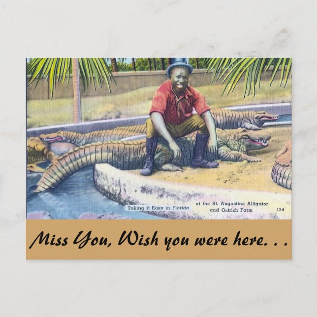 Taking it Easy in Florida Postcard (Front)