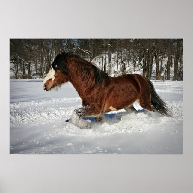 Taking It In Stride-Clydesdale in the Snow Poster (Front)