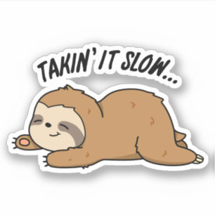 Taking It Slow Funny Sloth Pun
