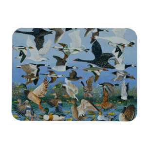 Taking Off 1996 Magnet