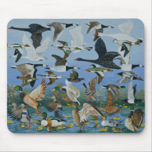 Taking Off 1996 Mouse Pad