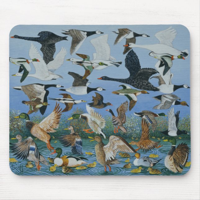 Taking Off 1996 Mouse Pad (Front)