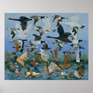 Taking Off 1996 Poster