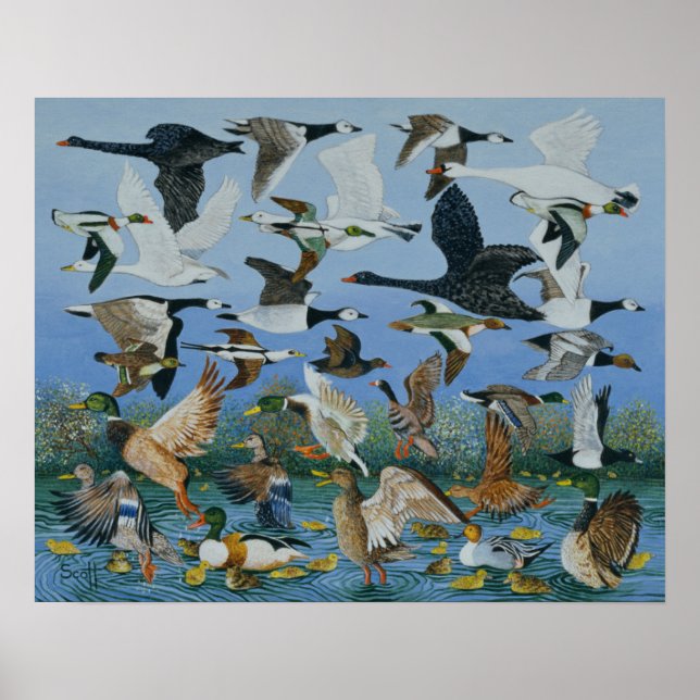 Taking Off 1996 Poster (Front)