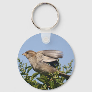 Taking off key ring