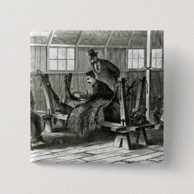 Taking virus from the calf 15 cm square badge (Front)