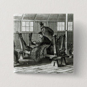 Taking virus from the calf 15 cm square badge