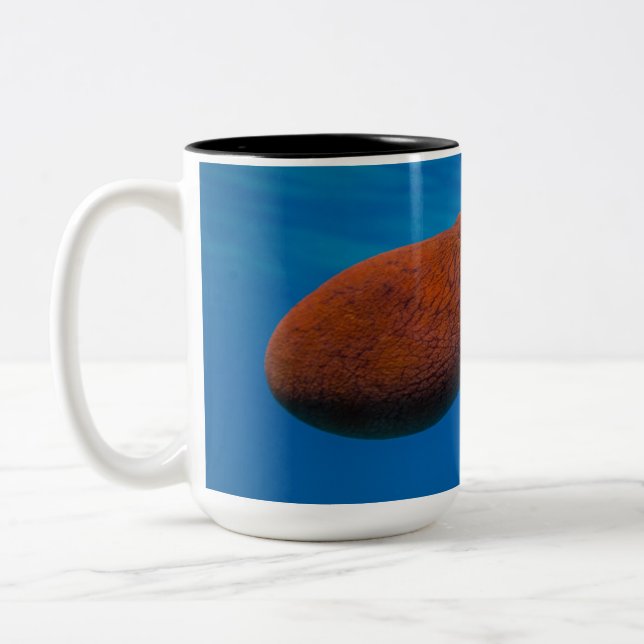 Tako Coffee Mug (Left)