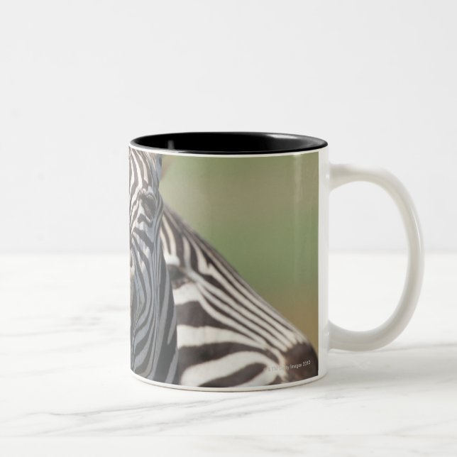 Tala Private Reserve, Kwazulu Natal, South Two-Tone Coffee Mug (Right)