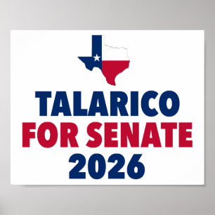 Talarico for Senate 2026 Election Texas Poster
