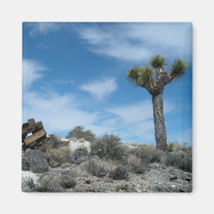 Talc Mine Ruins with Joshua Tree Magnet
