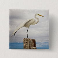 Talented Egret | Fort Myers Beach, Florida