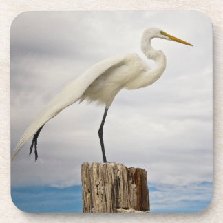 Talented Egret | Fort Myers Beach, Florida Coaster