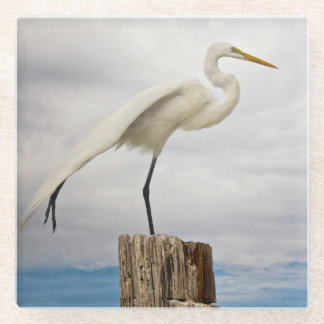 Talented Egret | Fort Myers Beach, Florida Glass Coaster