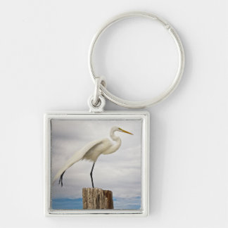 Talented Egret | Fort Myers Beach, Florida Key Ring
