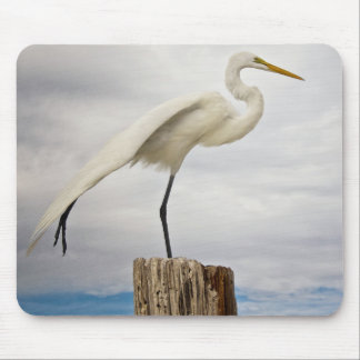 Talented Egret | Fort Myers Beach, Florida Mouse Pad
