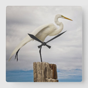 Talented Egret Fort Myers Beach, Florida Square Wall Clock