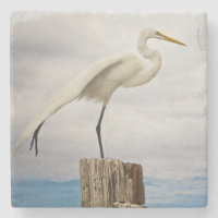 Talented Egret | Fort Myers Beach, Florida