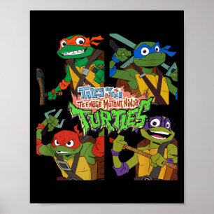 Tales Of The nage Mutant Ninja Turtles Box Up Poster