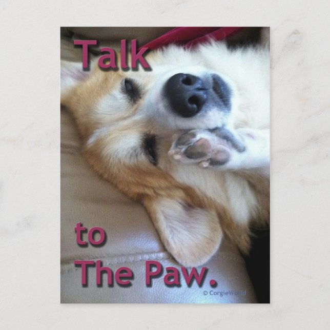 "Talk to the Paw" Corgi Postcard (Front)