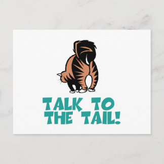 Talk to the Tail Cat Postcard